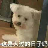 goubuligoubuli-