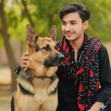 Ghulam Shabbir_1458