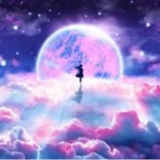 anime universum