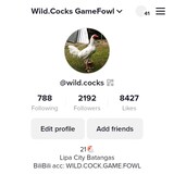 WILD.COCK.GAME.FOWL