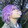 runiko_02_01