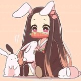 nezuko.dimple_