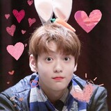 babysnowrabbit