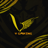 V Gaming Official