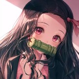 ชนกนันท์ เพชรดี