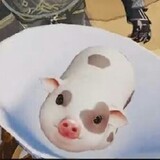 tangluoze