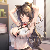 Aichibaozidemiaowu