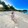 dhianne42730