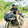Mahid Hasan_2449