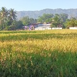 urangsunda