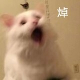 xianbeishenmexianbei