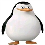 baitebetterser