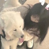 weiyumihuozhe