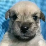 bili_1363565457