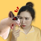 meimeiqisimiaoxiang