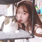 susujiuliang