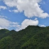 lvgushenshan