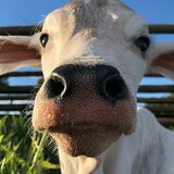 ABCDEFGHIJKLMNOPQRSTUVWXYZ.