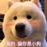 huangchadi___
