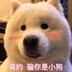 huangchadi___
