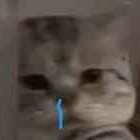 tahuoxubugaibeihuiyi