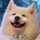 des_xueji
