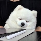 wangxianbei__