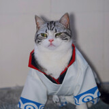 miaosangxiatian