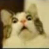 heerw