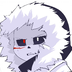 Snightgamer