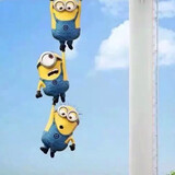 dys_920