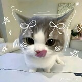 _Itsmemisha