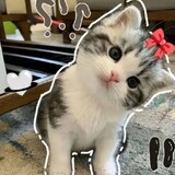 Love Kita_7033