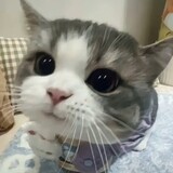 xiaoyuerchishuiing
