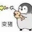 puchi___