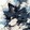 shilinshaoa-