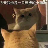 ___demanfen