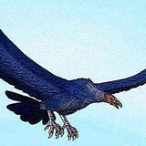 batageniyazhiying