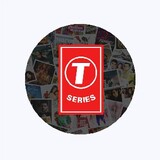 T Series24