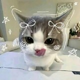 ผมชื่อทรัพย์