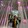 Affand__