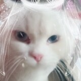 unnaสุดสวย