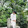 Mahid Hasan_2449