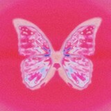 shanlingpink