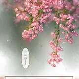 lexiaoxiaodianxia