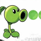 quanbudoushiwode
