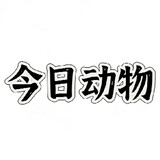 jinridongwu