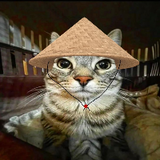 Chengshi Manyou