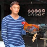 Danton Jumaquio