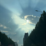 yangshengdajueshi